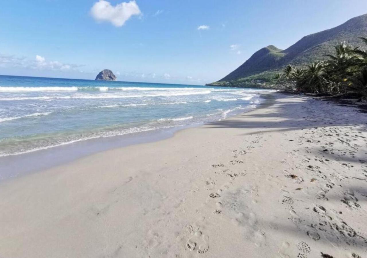 Villa Coquillage A 50 Metres De La Plage ル・ディアマン エクステリア 写真